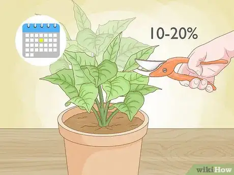Image intitulée Prune Houseplants Step 8