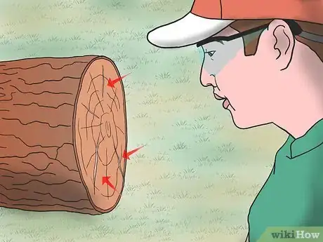 Image intitulée Chop Wood Step 9