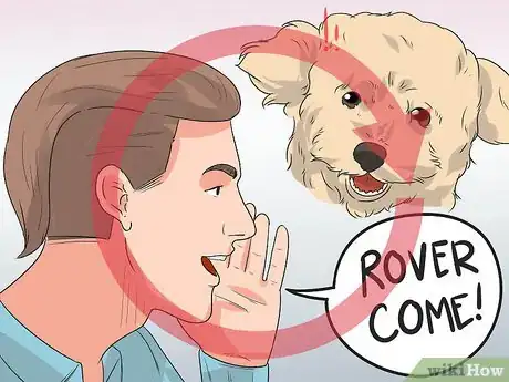 Image intitulée Train Your Dog to Not Run Away Step 6