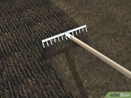 Image intitulée Level Ground Step 7