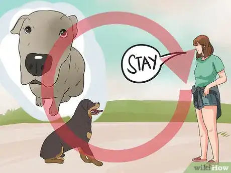 Image intitulée Train Your Dog to Not Run Away Step 13