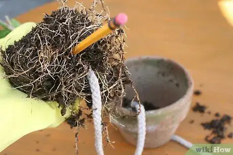Image intitulée Use Wicks to Water Plants Step 7