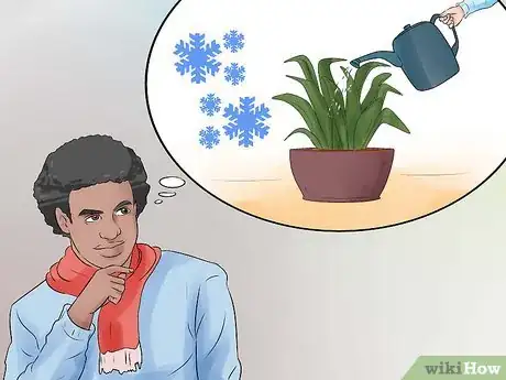 Image intitulée Care for a Sansevieria or Snake Plant Step 7