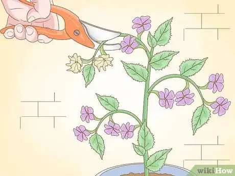 Image intitulée Prune Houseplants Step 4