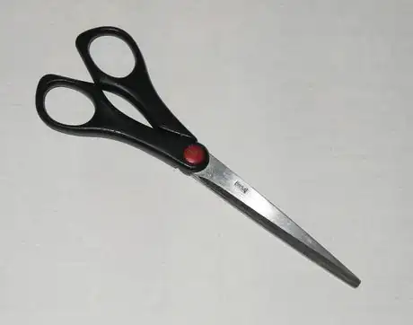 Image intitulée Scissor 9413