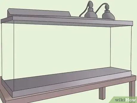 Image intitulée Care for an Iguana Step 3