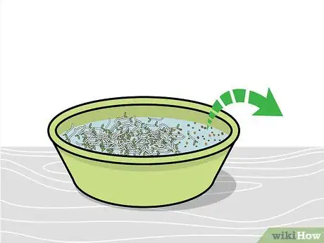 Image intitulée Grow Broccoli Sprouts Step 12