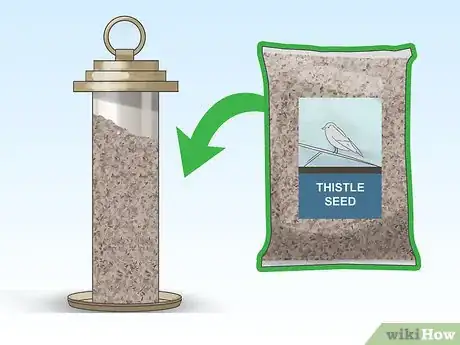 Image intitulée Attract Yellow Finches Step 7