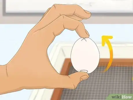 Image intitulée Make a Simple Homemade Incubator for Chicks Step 9