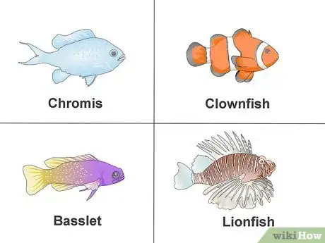 Image intitulée Cycle a Saltwater Tank Step 8