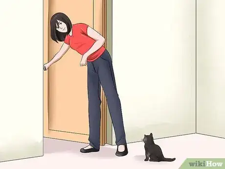 Image intitulée Separate Kittens from a Mother Cat for Adoption Step 17