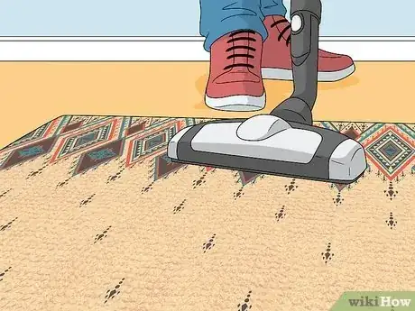 Image intitulée Get Dog Smell Out of the Carpet Step 1