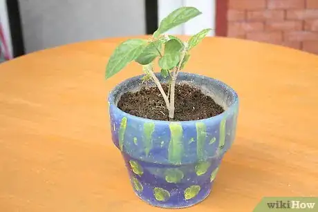 Image intitulée Use Wicks to Water Plants Step 2