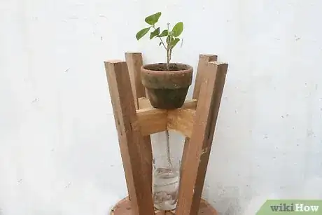 Image intitulée Use Wicks to Water Plants Step 9