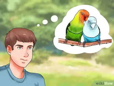 Image intitulée Care for a Lovebird Step 1