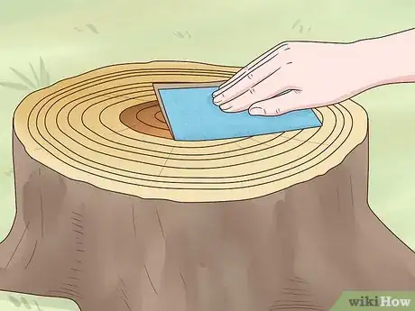Image intitulée Determine the Age of a Tree Step 13