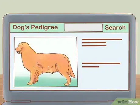 Image intitulée Determine Your Dog's Breed Step 2