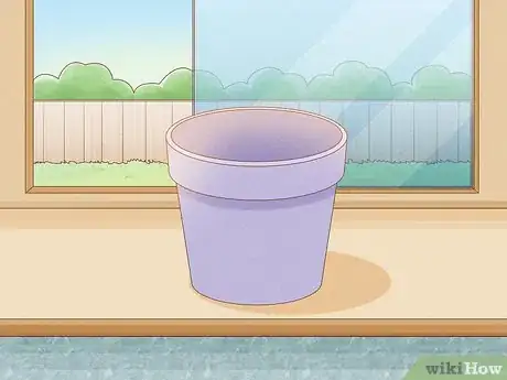 Image intitulée Grow Parsley Step 2