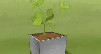 faire des jardinières en béton