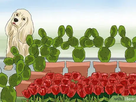 Image intitulée Keep Dogs out of Flower Beds Step 2