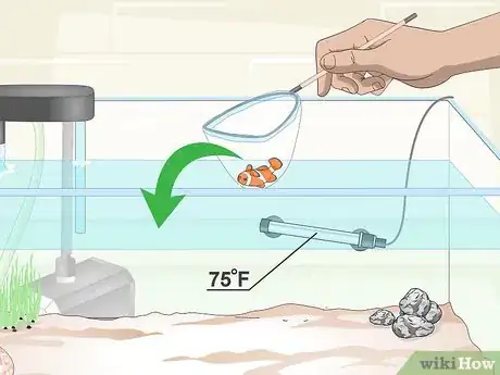 Image intitulée Cycle a Saltwater Tank Step 7