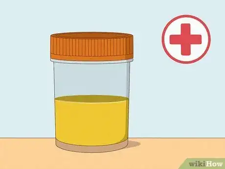 Image intitulée Treat Pain and Swelling in the Testicles Step 14