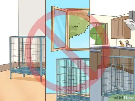 Image intitulée Keep a Lovebird As a Pet Step 9