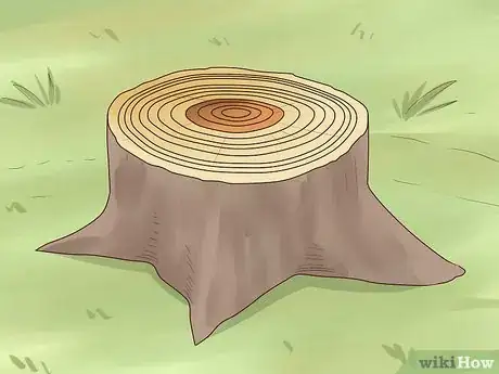 Image intitulée Determine the Age of a Tree Step 12