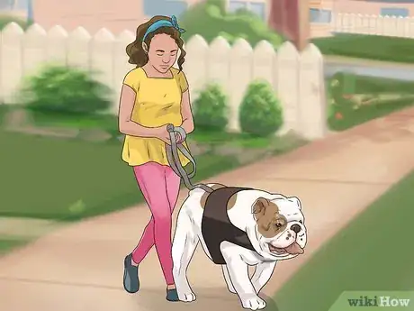 Image intitulée Help Dogs with Joint Problems and Stiffness Step 6