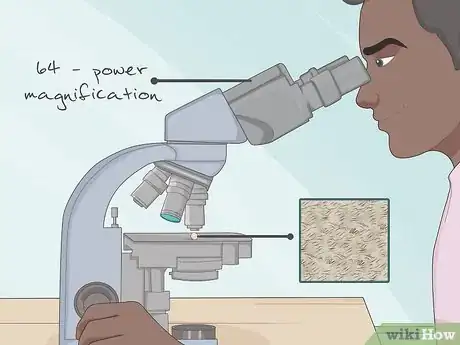 Image intitulée Tell if a Pearl Is Real Step 10