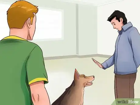 Image intitulée Keep Your Dog from Chasing Cats Step 23