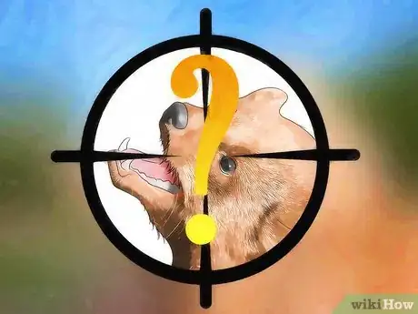 Image intitulée Keep a Fisher Cat Away Step 14