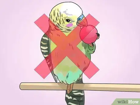 Image intitulée Stop a Budgie from Biting Step 9