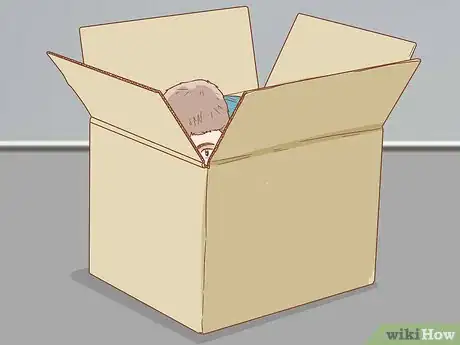 Image intitulée Hide Step 12