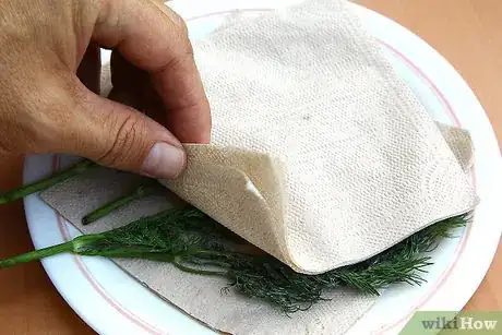 Image intitulée Dry Dill Step 22