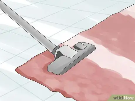 Image intitulée Get Rid of the Smell of Vomit in a Carpet Step 19