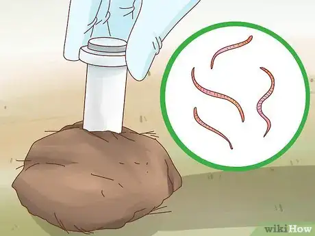 Image intitulée Fatten up a Horse Step 4