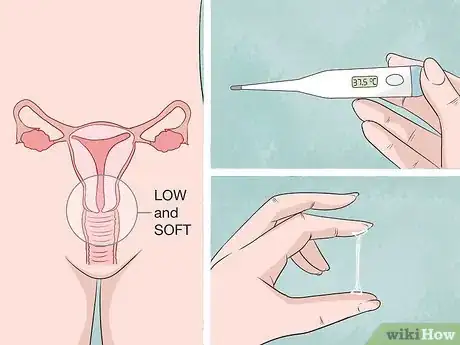 Image intitulée Use a Fertility Calendar Step 10