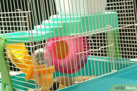 Image intitulée Care for a Hamster Step 3