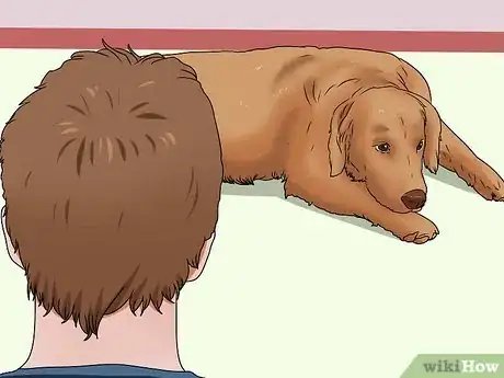 Image intitulée Treat Kennel Cough Step 4
