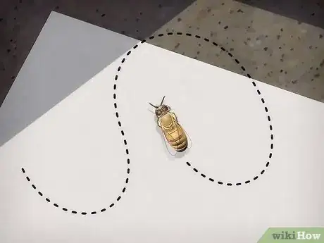 Image intitulée Care for an Injured Honeybee Step 5