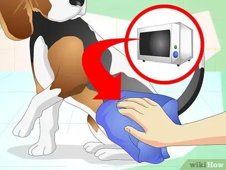 Image intitulée Treat a Sprained Ankle on a Dog Step 8
