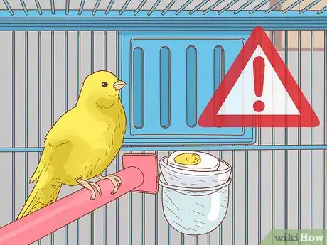 Image intitulée Care for Your Canary Step 13