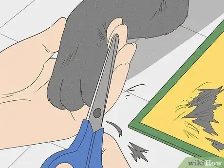 Image intitulée Get Mousetrap Glue Off a Cat Step 1