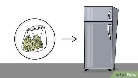 Image intitulée Grow Hops for Brewing Beer Step 17