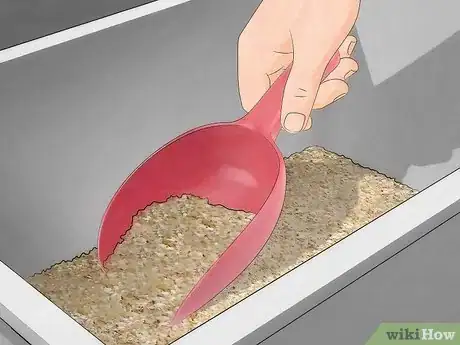 Image intitulée Care for Mealworms Step 5