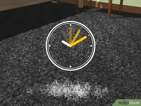 Image intitulée Remove Vomit Smell from Carpet Step 3