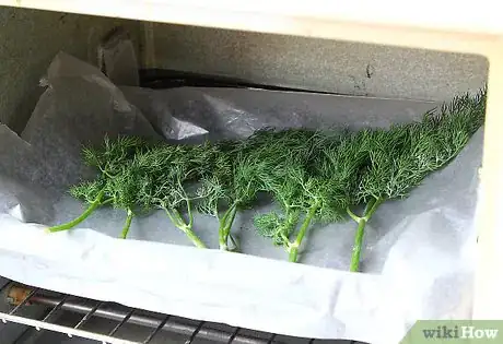 Image intitulée Dry Dill Step 16