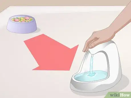 Image intitulée Train Your Cat to Use a Pet Fountain Step 2
