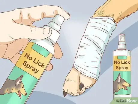 Image intitulée Keep a Dog from Licking a Wound Step 9